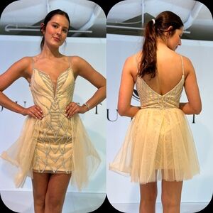 Elegant Beige and Silver Dress